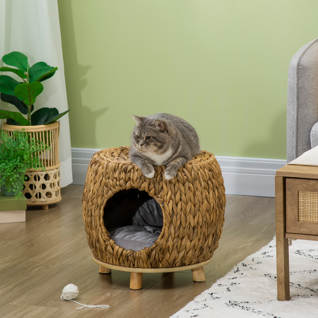 Rattan Cat House Stool Wicker Kitten Bed w/ Cushion for Indoors & Outdoors