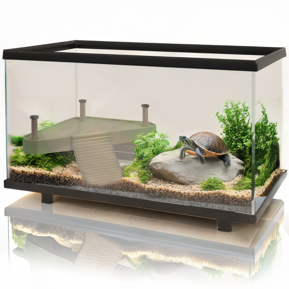 PawHut Turtle Tank - premium product photo