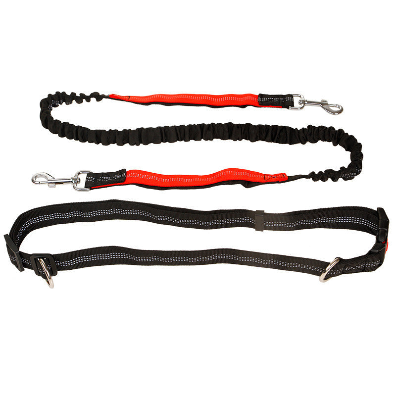 Elastic Reflective Pet Running Traction Belt-4