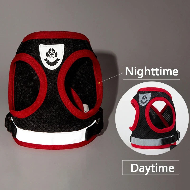Puppy Harness and Leash Set for Small Dogs-2