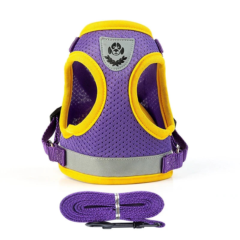Puppy Harness and Leash Set for Small Dogs-5