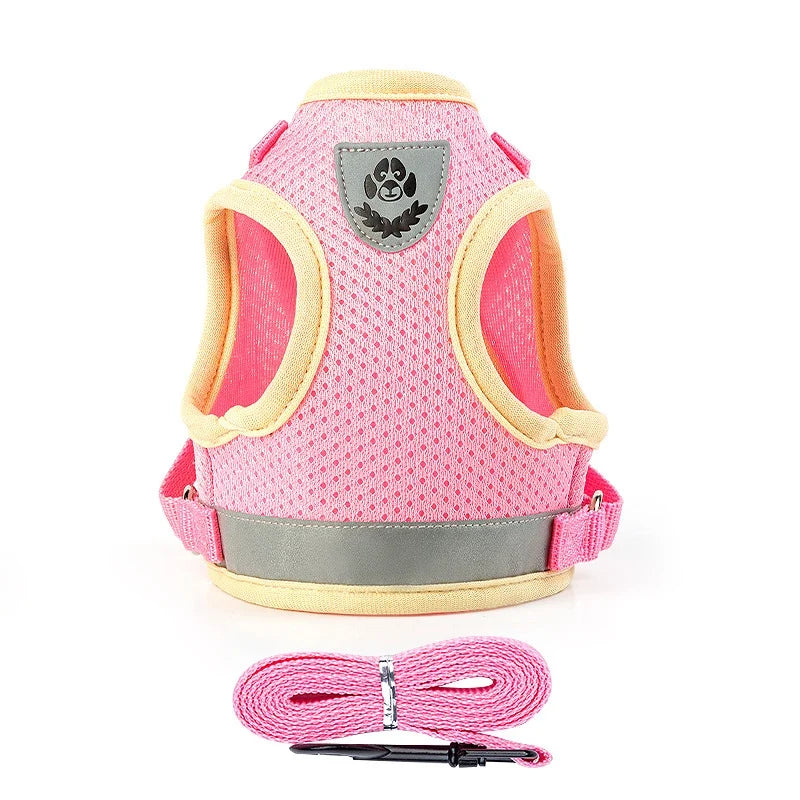 Puppy Harness and Leash Set for Small Dogs-6