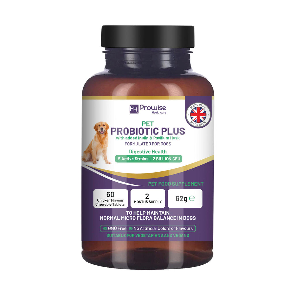 Pet Probiotic Plus with Inulin & Psyllium Husk, Chicken Chewables (60) GMP UK