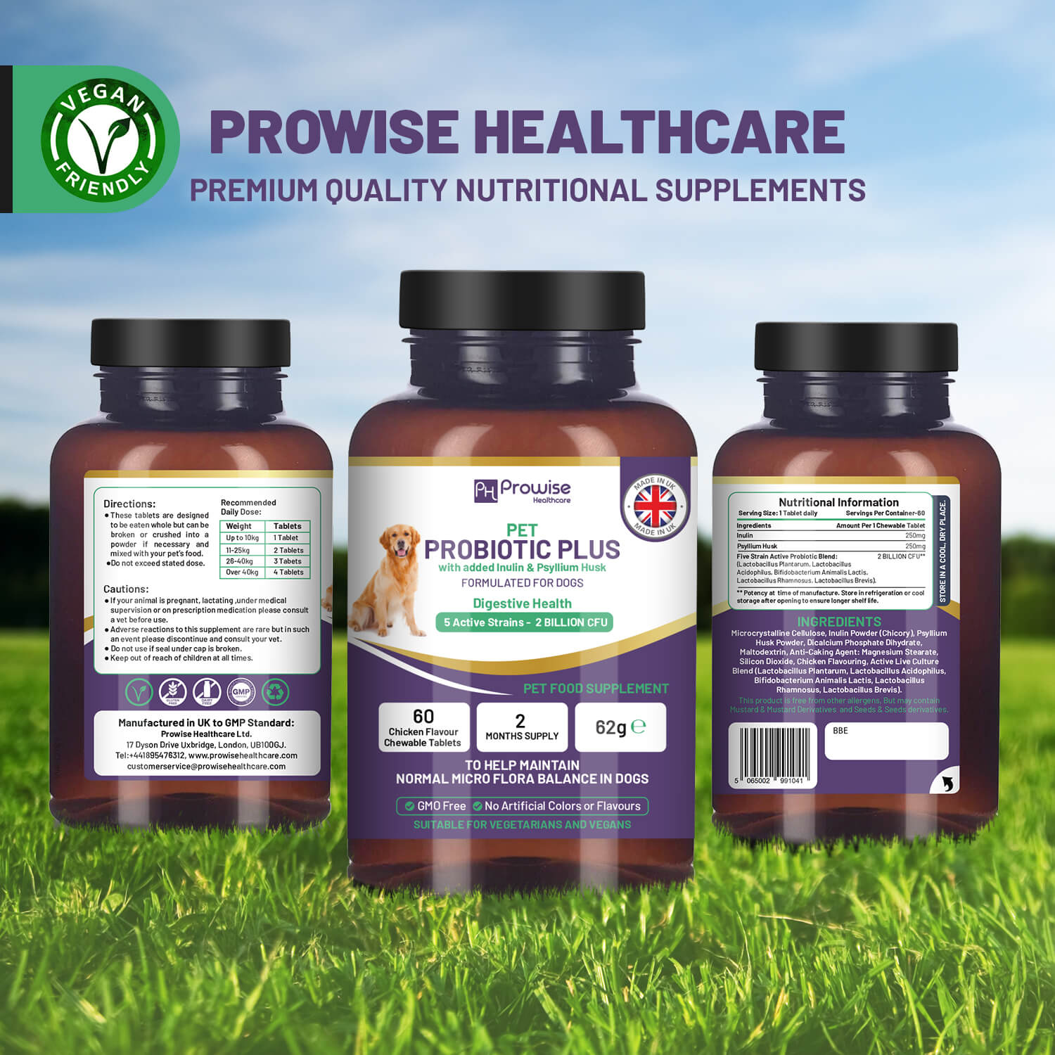 Pet Probiotic Plus with Inulin & Psyllium Husk, Chicken Chewables (60) GMP UK