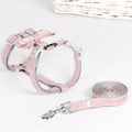 Trendy Nylon Pet Leash for Stylish Walks-4