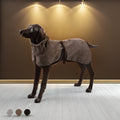 Water-Repellent Softshell Dog Jacket - premium product photo